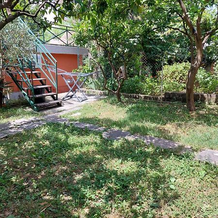 Garden Apartmant Near Sea Котор Экстерьер фото